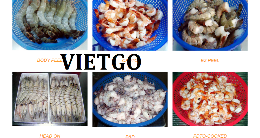 gachbong-vietgo-210119